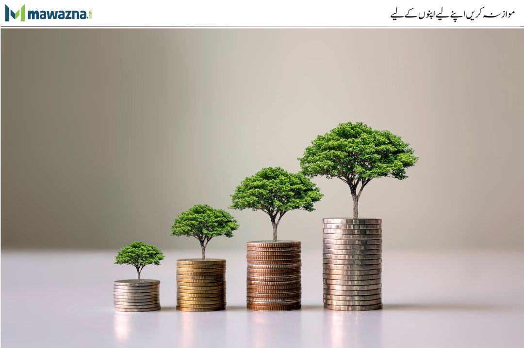 Understanding-Mutual-Funds-in-Pakistan-Risks-Rewards-and-Investment-Insights